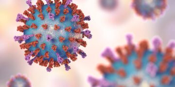 RSV Vaccines Are Highly Effective in Older Adults