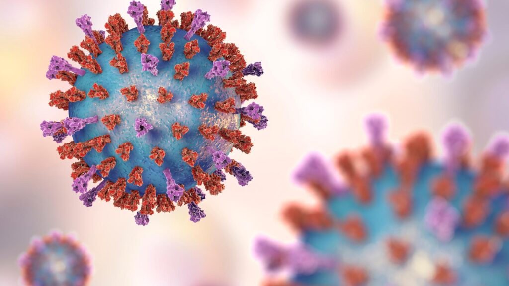 RSV Vaccines Are Highly Effective in Older Adults