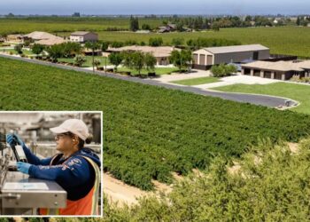 Massive Northern California vineyard goes up for sale after Canada booze ban