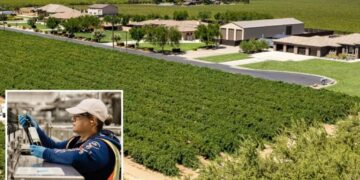 Massive Northern California vineyard goes up for sale after Canada booze ban