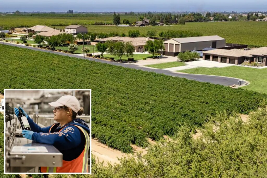 Massive Northern California vineyard goes up for sale after Canada booze ban