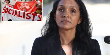 Who is Nithya Raman *really* running to represent?