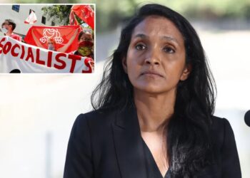 Who is Nithya Raman *really* running to represent?