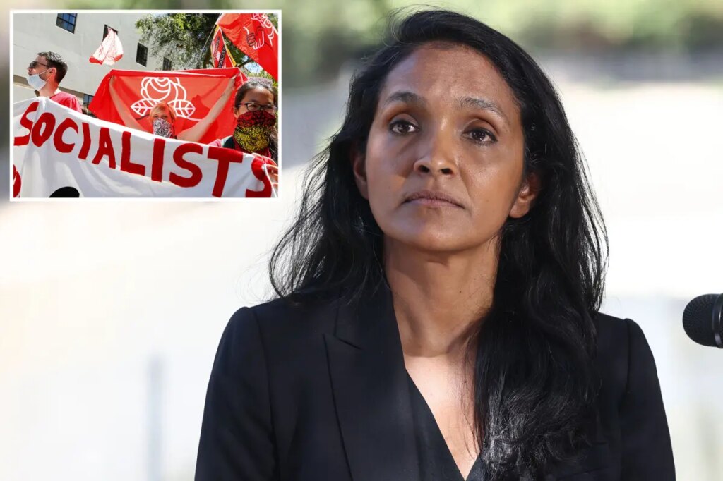 Who is Nithya Raman *really* running to represent?