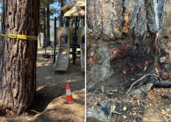 Billionaire’s playground offers $147K to unmask mystery poisoning suspect