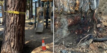 Billionaire’s playground offers $147K to unmask mystery poisoning suspect
