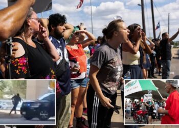 Socialist, communist groups coordinate, promote ‘spontaneous’ anti-ICE protests in Austin