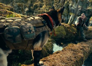 ‘Heart of the Beast’ Review: Brad Pitt and His Dog Go Walkies, On the Hardest Difficulty Setting