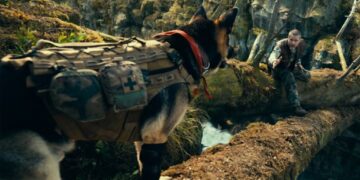 ‘Heart of the Beast’ Review: Brad Pitt and His Dog Go Walkies, On the Hardest Difficulty Setting