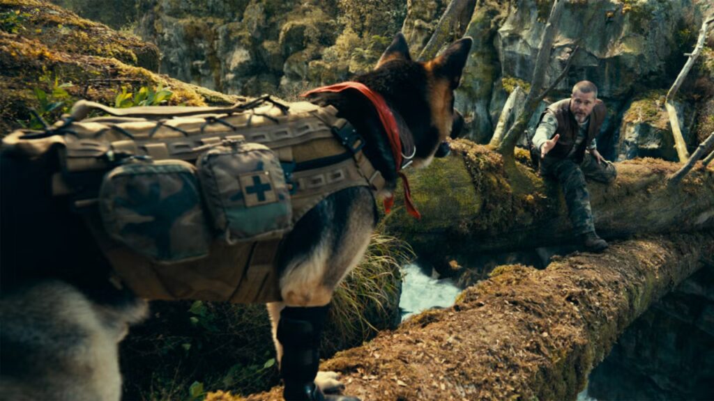 ‘Heart of the Beast’ Review: Brad Pitt and His Dog Go Walkies, On the Hardest Difficulty Setting