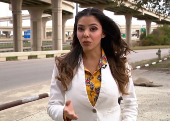 ‘Embarrassed for you’: Attorney refuses to back down after judge calls dress inappropriate