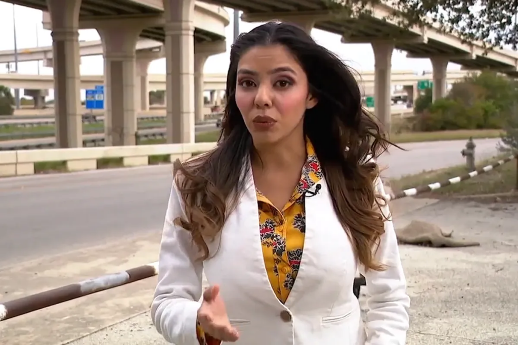 ‘Embarrassed for you’: Attorney refuses to back down after judge calls dress inappropriate
