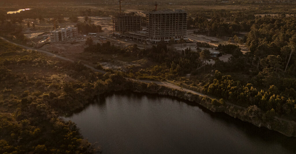 These Tech Utopians Want to Build a City for the Post-A.I. World