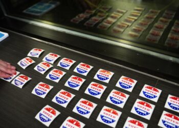 What’s on the ballot in these midterm elections