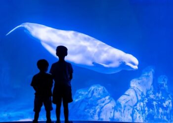 The uncomfortable truth about aquariums