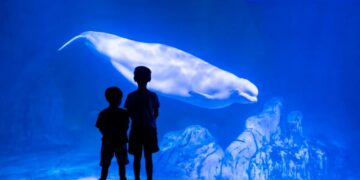 The uncomfortable truth about aquariums