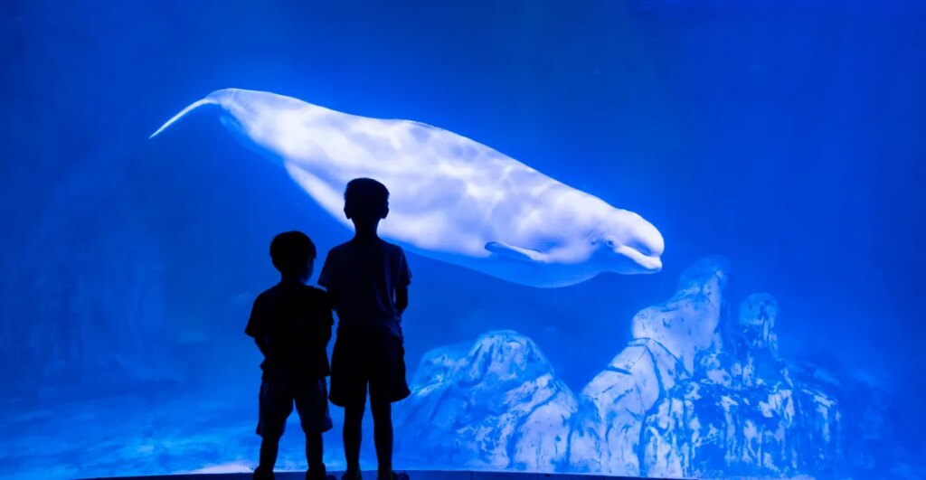 The uncomfortable truth about aquariums