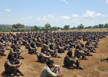 Ethiopian Rebel Groups Join Forces Against the Government