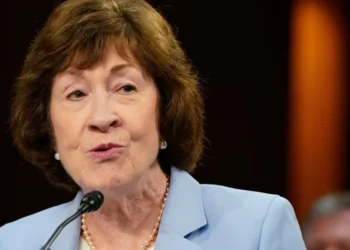 ‘We literally have the emails!’ Susan Collins flak skewered for denying corruption story