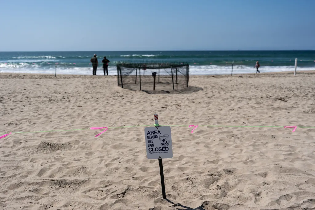 A sign on a sandy beach marks a protected sea turtle nesting area.