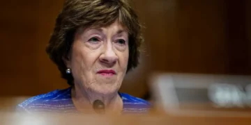 ‘Meat on this bone’: Expert unmasks ruse behind Susan Collins’ ‘corruption’ denial