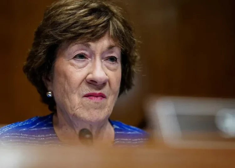 ‘Meat on this bone’: Expert unmasks ruse behind Susan Collins’ ‘corruption’ denial