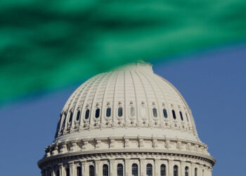 The Democrats’ Policy on Palestine Is Detached From Reality