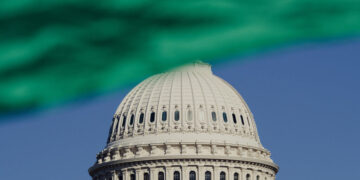 The Democrats’ Policy on Palestine Is Detached From Reality