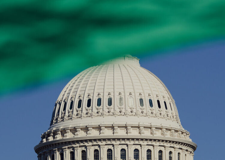 The Democrats’ Policy on Palestine Is Detached From Reality