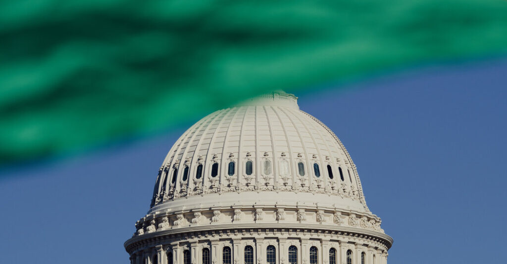 The Democrats’ Policy on Palestine Is Detached From Reality