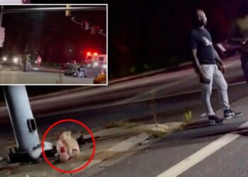 Maryland DoorDash customer picks up order from driver at crash scene: ‘I think that’s my food right there’