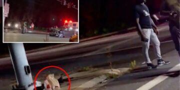 Maryland DoorDash customer picks up order from driver at crash scene: ‘I think that’s my food right there’