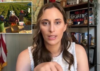 Arkansas Dem Senate candidate faces fury for suggesting illegal migrants should replace American workers