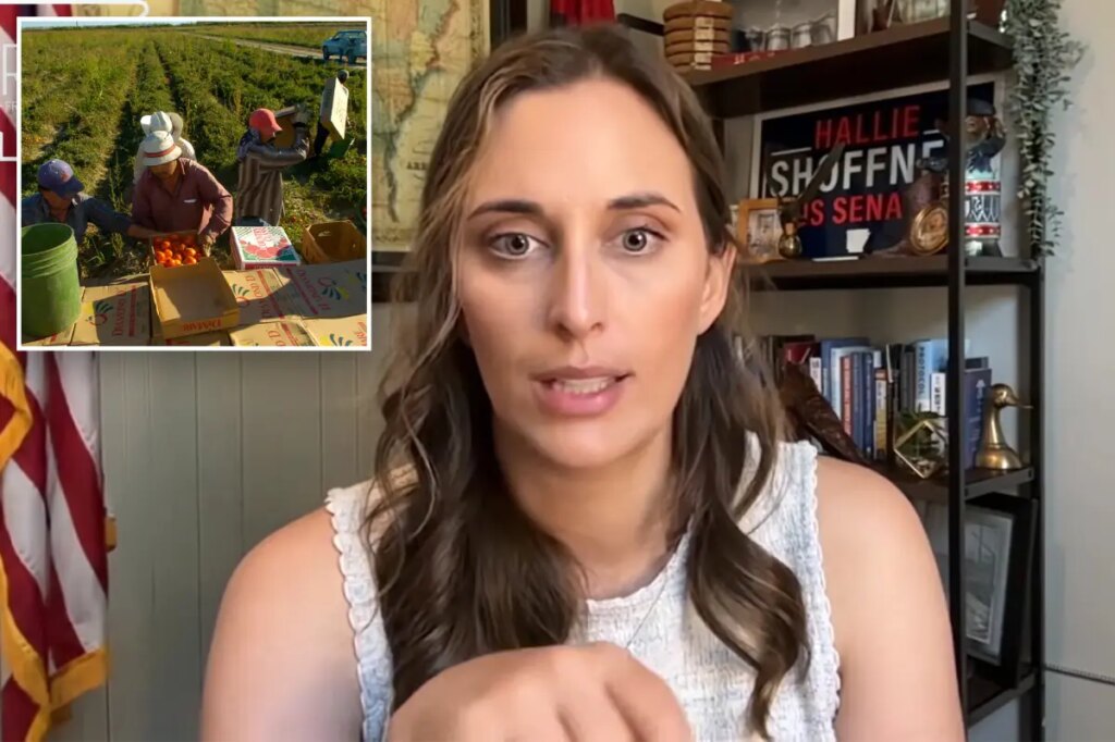 Arkansas Dem Senate candidate faces fury for suggesting illegal migrants should replace American workers