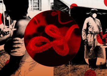 The Organization Fighting Ebola Has Never Been More Worried