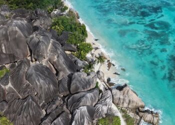 The Next Four Years Will Decide the Ocean’s Future