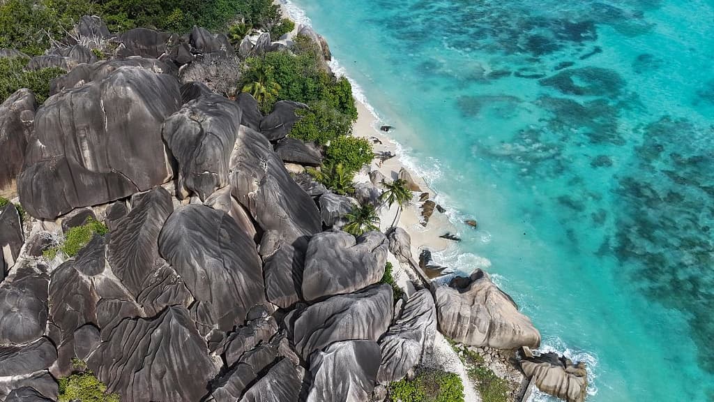 The Next Four Years Will Decide the Ocean’s Future