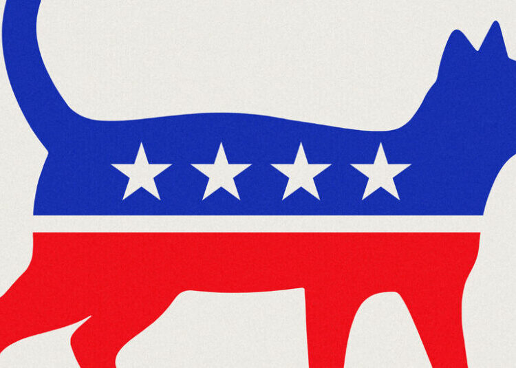 Voters Hate Both Parties. Some Candidates See an Opportunity.