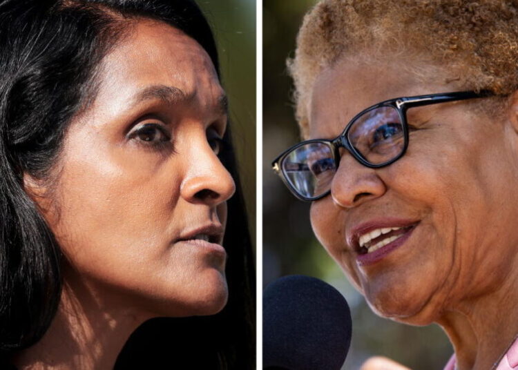 Raman takes big lead over Bass in latest poll for L.A. mayor’s race