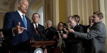 ‘Anxious’ GOP senators considering ‘fight or flight’ move as agenda stalls out: Politico