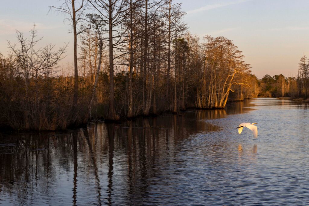 The policy tools to protect nature already exist
