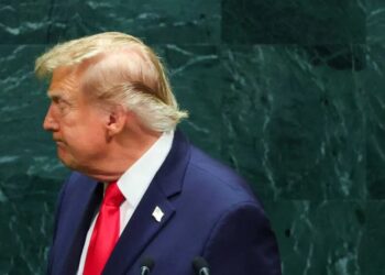 Expert spots ‘very alarming’ Trump body twitches during UN address: ‘This looks different’