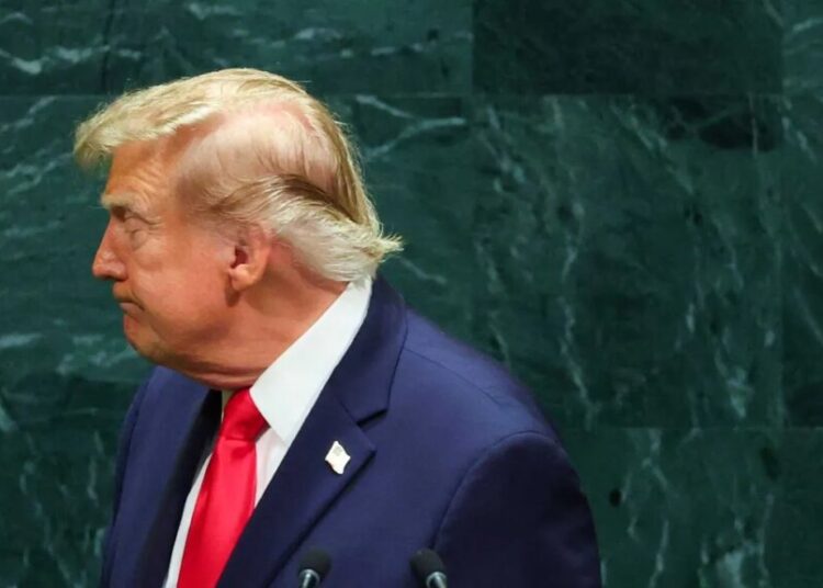 Expert spots ‘very alarming’ Trump body twitches during UN address: ‘This looks different’