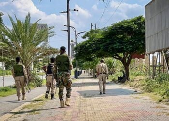 Tigray Region Mobilizes Forces Against Ethiopian Central Government