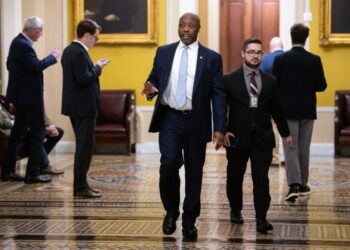 NRSC Chair Tim Scott leaves Georgia, North Carolina off his list of top Senate targets