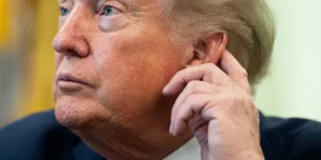 ‘Astonishing’: CNN panel floored as Trump lawyers attempt ‘complete reversal’ in court