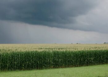 Trouble in the Heartland