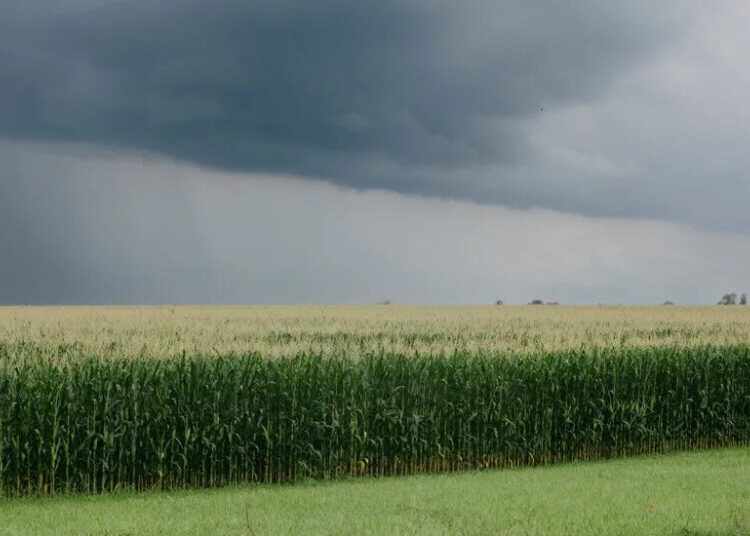 Trouble in the Heartland
