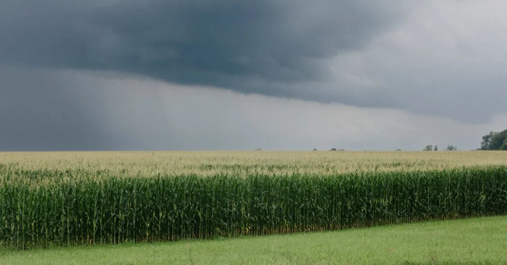 Trouble in the Heartland