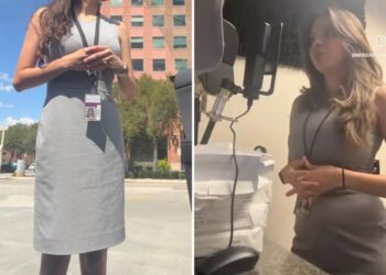 Texas lawyer called out by judge for ‘inappropriate’ dress in front of entire courtroom